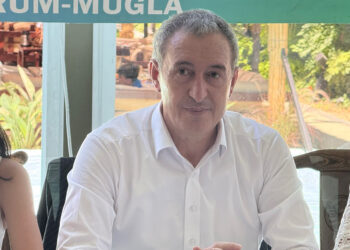 Kürt meselesi bir demokratikleşme meselesi