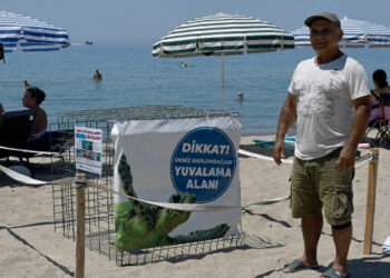 Kuşadası'nda yılın ilk caretta caretta yuvası tespit edildi