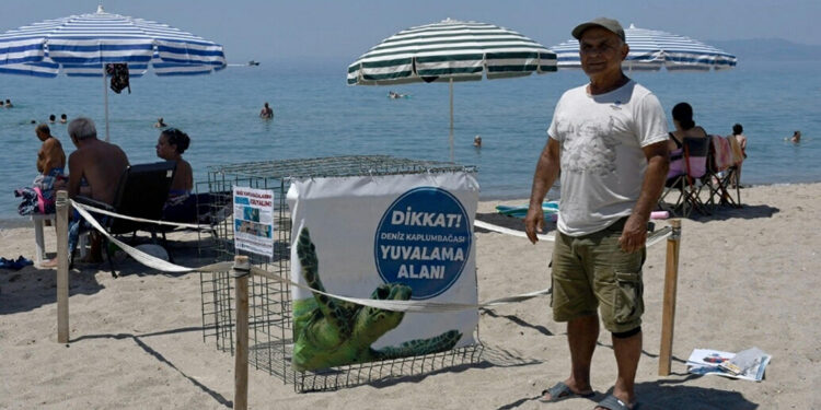 Kuşadası'nda yılın ilk caretta caretta yuvası tespit edildi