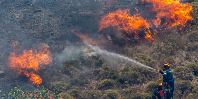 Kuzey Makedonya'da orman yangınları nedeniyle ‘kriz durumu’ ilan edildi