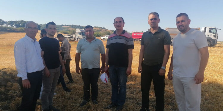 Manyas'ta arazisinde çıkan yangın ormana sıçradı