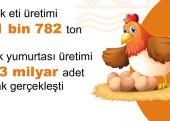Mayıs ayında tavuk yumurtası üretimi azaldı