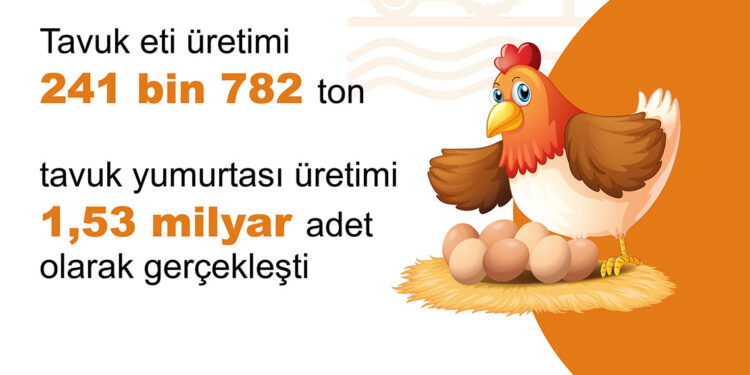 Mayıs ayında tavuk yumurtası üretimi azaldı