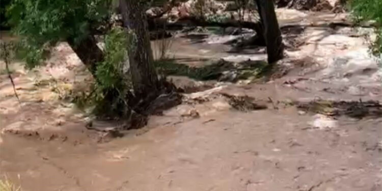 Mersin'de sağanak, sel ve taşkına yol açtı