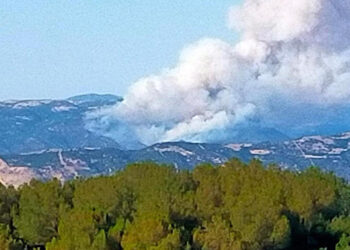 Manisa Sarıgöl'de çıkan yangın 10,5 saatte kontrol altına alındı