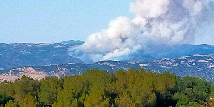 Manisa Sarıgöl'de çıkan yangın 10,5 saatte kontrol altına alındı