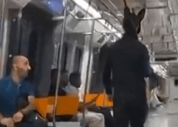 Metroda elinde tüfekle gezen tavşan kostümlü kişi gözaltına alındı