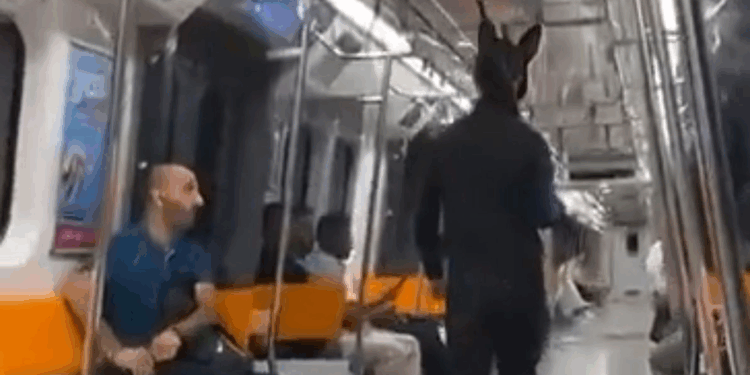 Metroda elinde tüfekle gezen tavşan kostümlü kişi gözaltına alındı