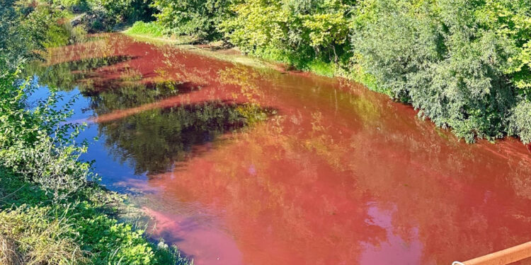 Mudurnu Çayı'nın rengi kırmızıya döndü