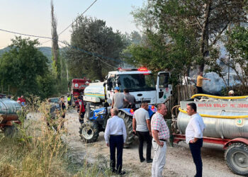 Mudurnu'da atıl kümeste çıkan yangın ormana sıçradı