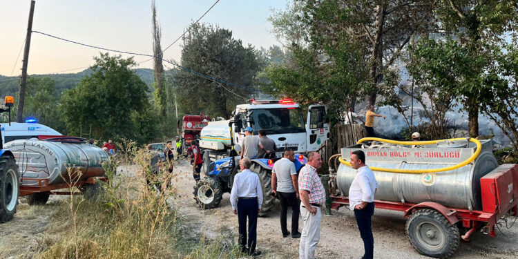 Mudurnu'da atıl kümeste çıkan yangın ormana sıçradı