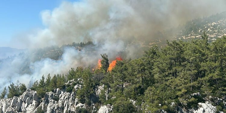 Muğla Milas ve Manisa Saruhanlı'daki yangınlar kontrol altında