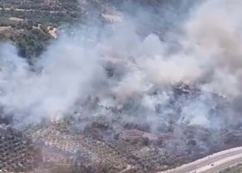 Muğla'da tarım arazisinde yangın çıktı
