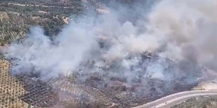 Muğla'da tarım arazisinde yangın çıktı
