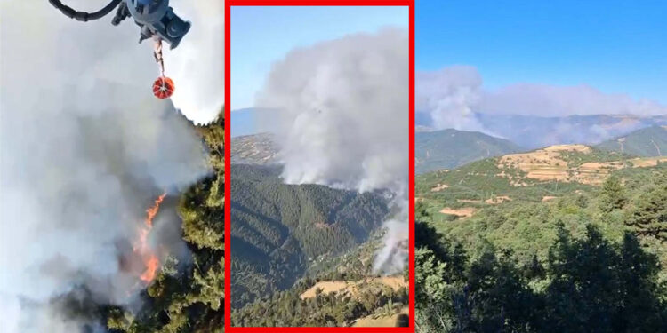 Ödemiş’teki orman yangınında 2’nci gün