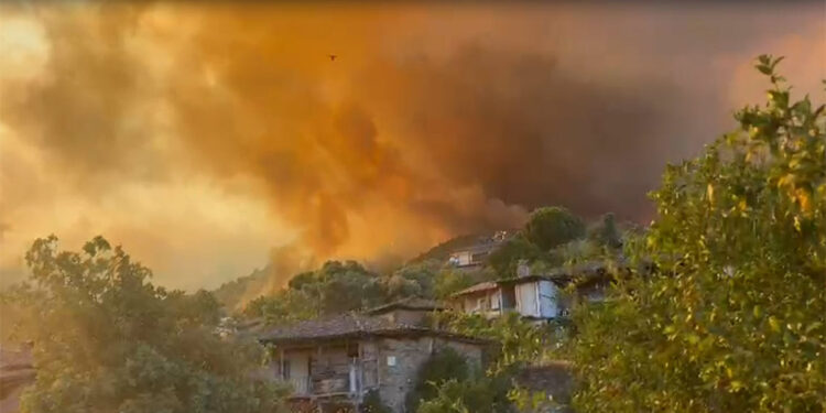 Ödemiş'teki orman yangınında 2 kişi hayatını kaybetti