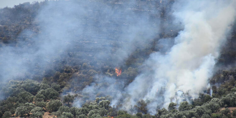 Ödemiş'te 7 mahalle tahliye edildi