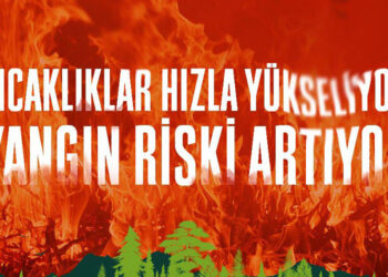 OGM'den 1 hafta için 'orman yangını riski' uyarısı