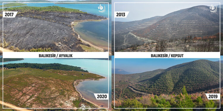 Bu yıl çıkan yangınlarda 24 bin hektar orman zarar gördü