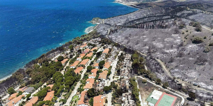 Ormanların yandığı alanlarda heyelan riski