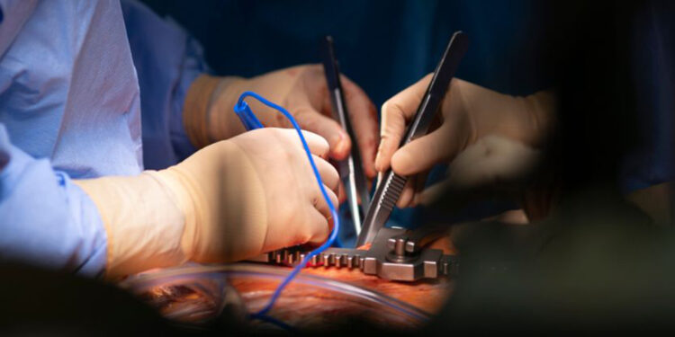 Ölü kalp yeniden çalıştırıldı