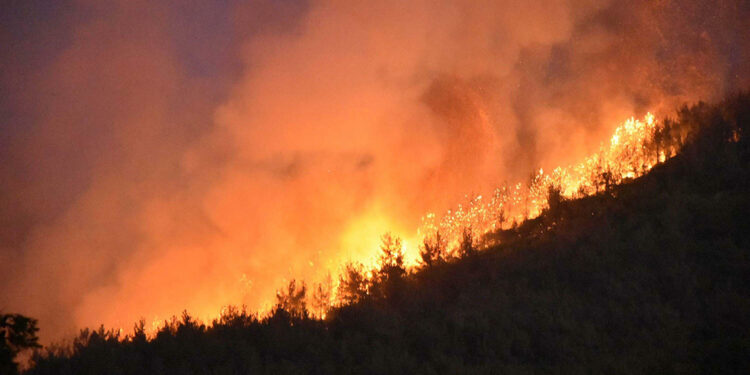 Orman yangınları kontrol edilemez hale geldi