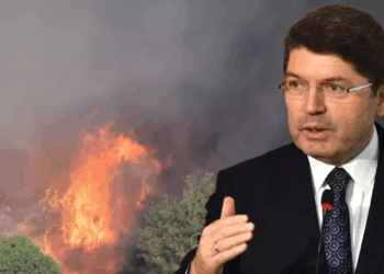 Orman yangınlarına ilişkin soruşturmalarda 21 kişi tutuklandı