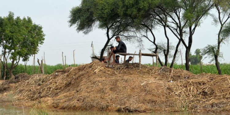 Pakistan'da etkili olan muson yağmurları can almaya devam ediyor