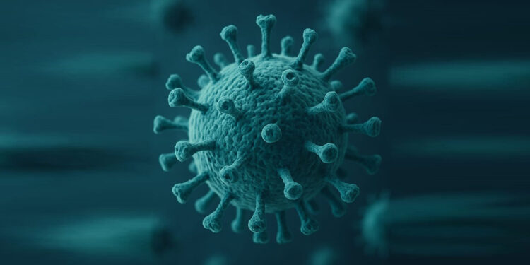 Henipavirüs'te salgın tespit edilmiş değil