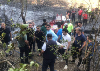 Sakarya'dan Düzce'ye sıçrayan orman yangını söndürüldü