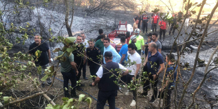 Sakarya'dan Düzce'ye sıçrayan orman yangını söndürüldü