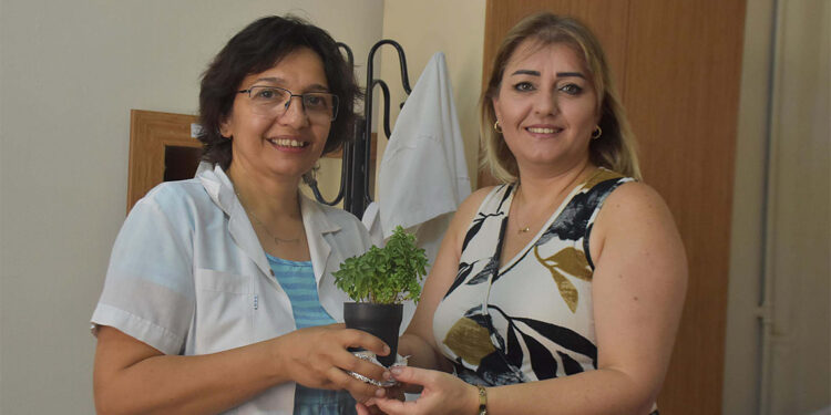 Sigarayı bırakan 25 yıllık tiryaki