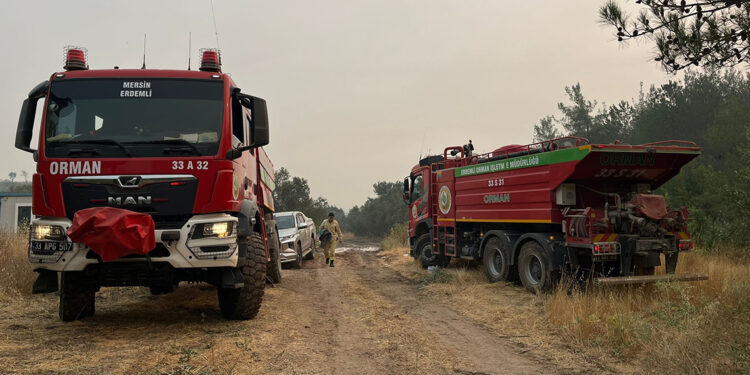 Sakarya'daki orman yangını 3'üncü gününde