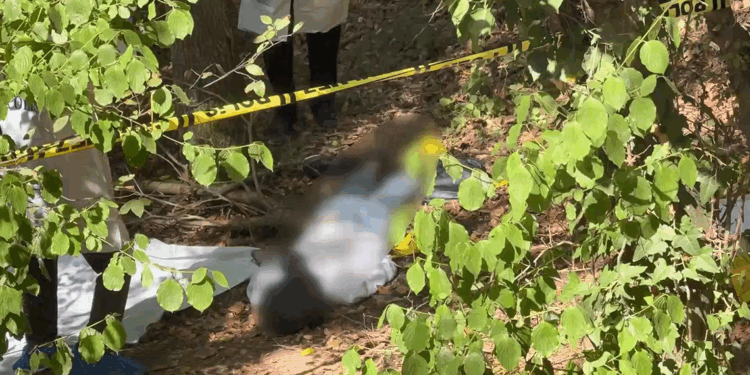 Sarıyer'de başına çöp poşeti geçirilmiş erkek cesedi bulundu