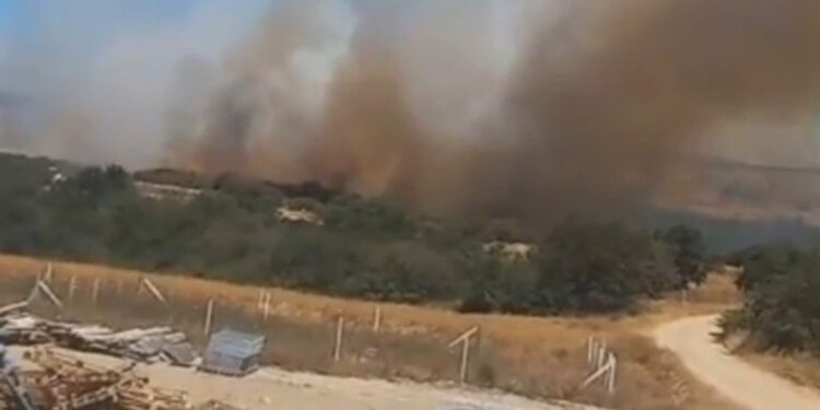 Silivri'de orman yangını; söndürme çalışmaları sürüyor