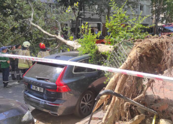 Şişli'de devrilen ağaç 2 araca zarar verdi