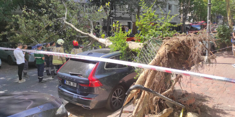 Şişli'de devrilen ağaç 2 araca zarar verdi