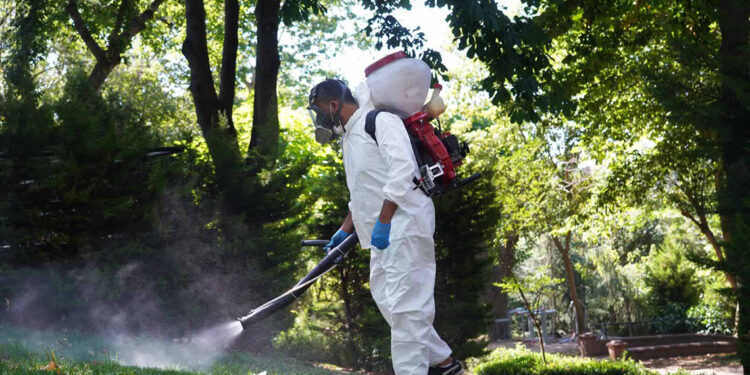 Şişli'de kene ve sineklere karşı etkin mücadele