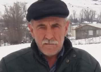 Sivas'ta kenenin ısırdığı 2 çocuk babası öldü 