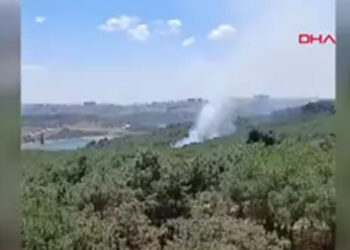 Sultangazi Kent Ormanı'nda yangın çıktı
