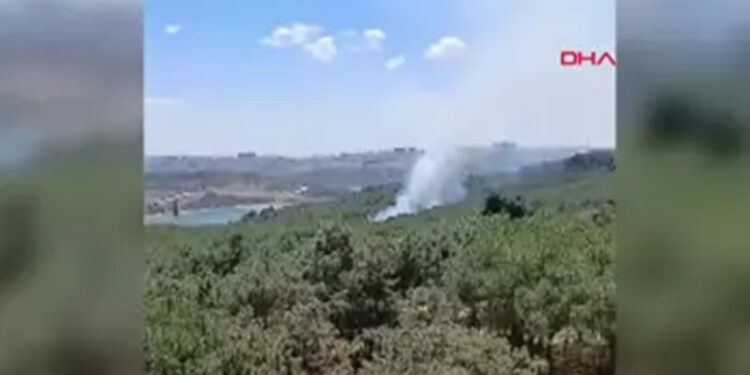 Sultangazi Kent Ormanı'nda yangın çıktı