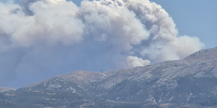 Suriye'de sınıra yakın bölgede orman yangını