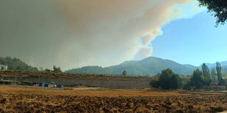 Suriye'deki orman yangını, yeniden sınıra yaklaştı