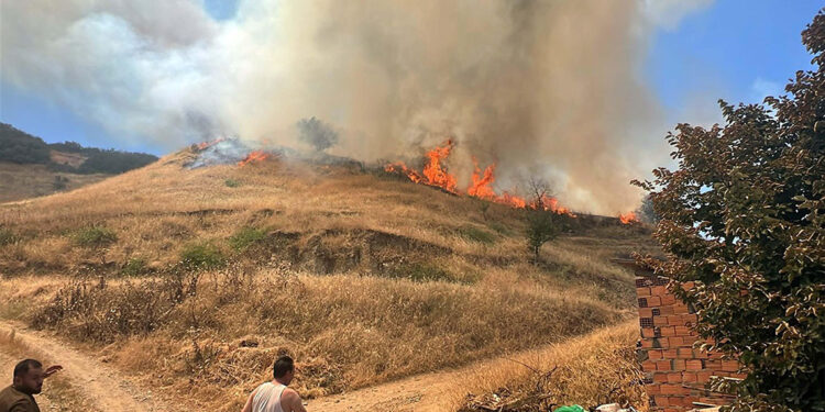 Manisa'da tarım arazisinde çıkan yangın ormana sıçradı