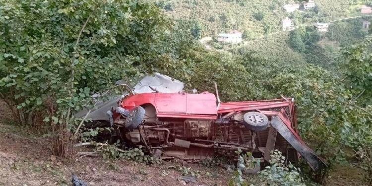 Giresun'da tarım işçilerini taşıyan kamyonet şarampole yuvarlandı