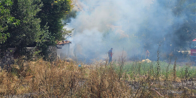 Tarladaki otları temizlemek için yakılan ateş evin odunluğunu yaktı