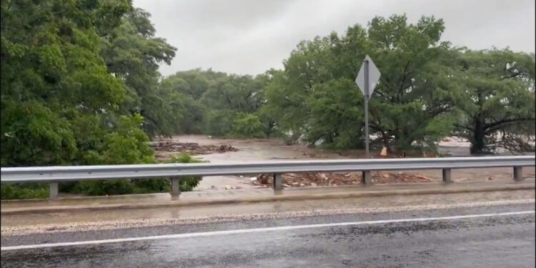 Texas'ta sel: 43 ölü