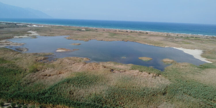Tamamen kuruyan Milleyha Kuş Cenneti suyla doldu