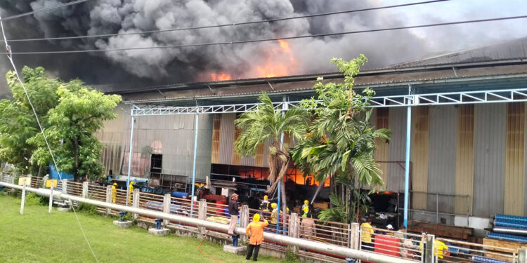 Tayland'da kağıt fabrikasında yangın: 8 ölü, 26 yaralı
