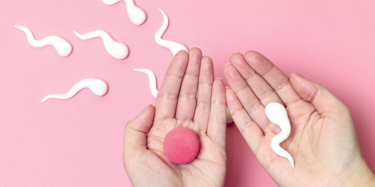 Tüp bebekte başarı için uzmanından ipuçları